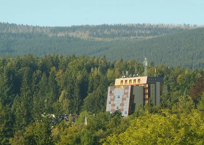 Hotel Interferie Sport Bornit 4*