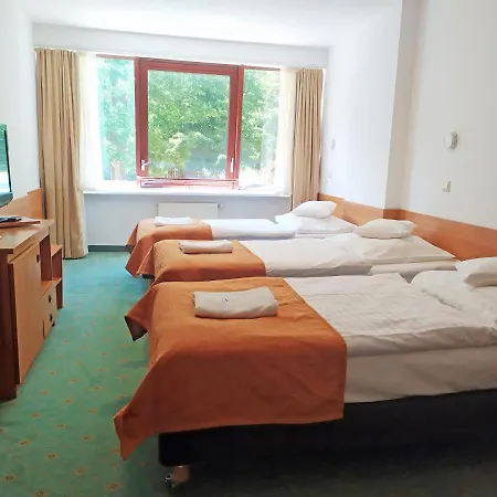 Interferie Sport Bornit