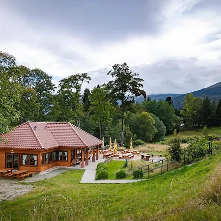 Interferie Sport Bornit