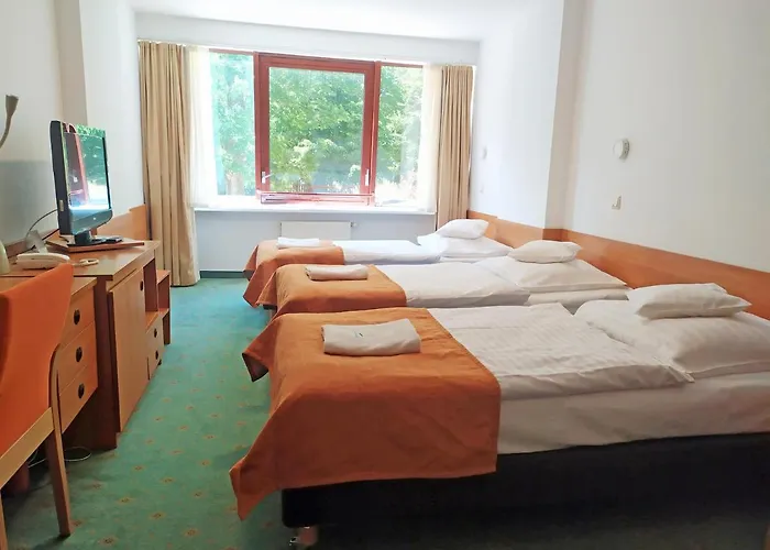 Interferie Sport Bornit