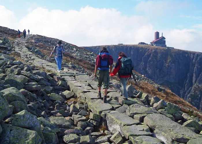 Interferie Sport Bornit